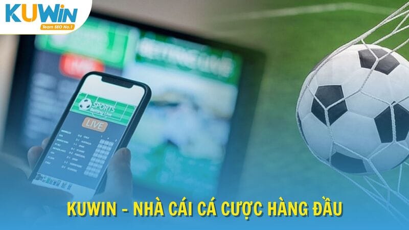 Nhà cái cá cược hàng đầu