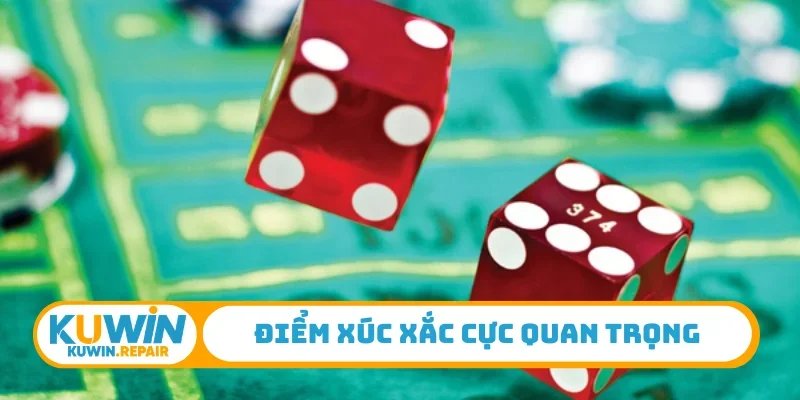 Điểm xúc xắc cực quan trọng