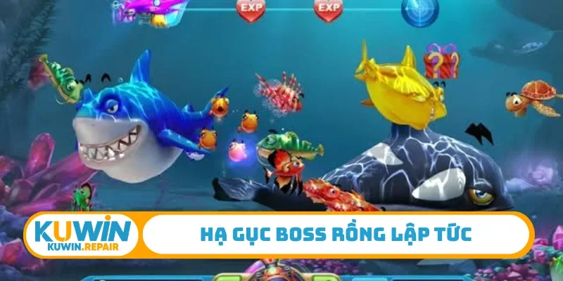 Hạ gục Boss rồng lập tức